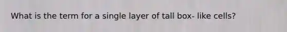 What is the term for a single layer of tall box- like cells?