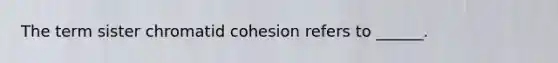 The term sister chromatid cohesion refers to ______.