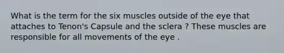 What is the term for the six muscles outside of the eye that attaches to Tenon's Capsule and the sclera ? These muscles are responsible for all movements of the eye .