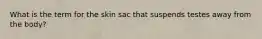 What is the term for the skin sac that suspends testes away from the body?