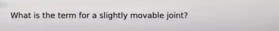 What is the term for a slightly movable joint?