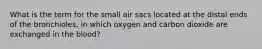 What is the term for the small air sacs located at the distal ends of the bronchioles, in which oxygen and carbon dioxide are exchanged in the blood?