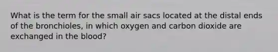 What is the term for the small air sacs located at the distal ends of the bronchioles, in which oxygen and carbon dioxide are exchanged in the blood?