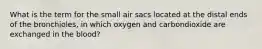 What is the term for the small air sacs located at the distal ends of the bronchioles, in which oxygen and carbondioxide are exchanged in the blood?