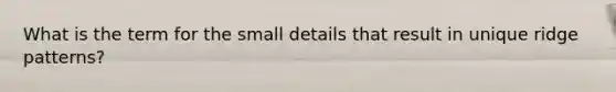 What is the term for the small details that result in unique ridge patterns?
