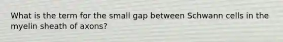 What is the term for the small gap between Schwann cells in the myelin sheath of axons?