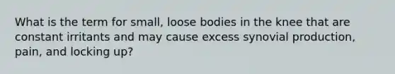 What is the term for small, loose bodies in the knee that are constant irritants and may cause excess synovial production, pain, and locking up?