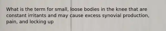 What is the term for small, loose bodies in the knee that are constant irritants and may cause excess synovial production, pain, and locking up