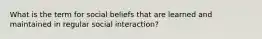 What is the term for social beliefs that are learned and maintained in regular social interaction?