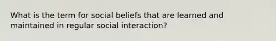 What is the term for social beliefs that are learned and maintained in regular social interaction?