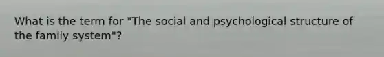 What is the term for "The social and psychological structure of the family system"?