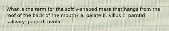 What is the term for the soft v-shaped mass that hangs from the roof of the back of the mouth? a. palate b. villus c. parotid salivary gland d. uvula