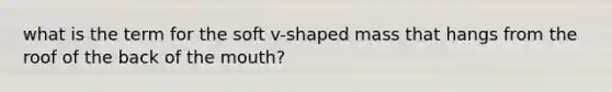 what is the term for the soft v-shaped mass that hangs from the roof of the back of the mouth?