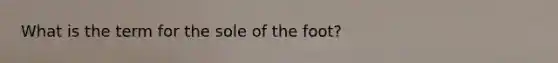 What is the term for the sole of the foot?