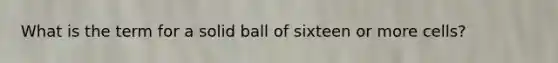 What is the term for a solid ball of sixteen or more cells?