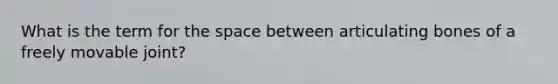 What is the term for the space between articulating bones of a freely movable joint?