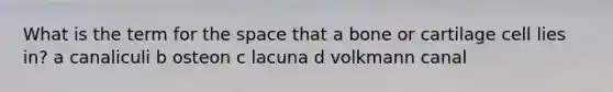 What is the term for <a href='https://www.questionai.com/knowledge/k0Lyloclid-the-space' class='anchor-knowledge'>the space</a> that a bone or cartilage cell lies in? a canaliculi b osteon c lacuna d volkmann canal