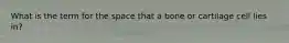 What is the term for the space that a bone or cartilage cell lies in?