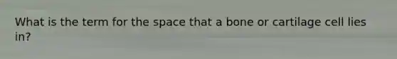 What is the term for the space that a bone or cartilage cell lies in?