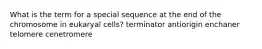 What is the term for a special sequence at the end of the chromosome in eukaryal cells? terminator antiorigin enchaner telomere cenetromere