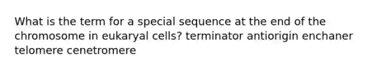 What is the term for a special sequence at the end of the chromosome in eukaryal cells? terminator antiorigin enchaner telomere cenetromere