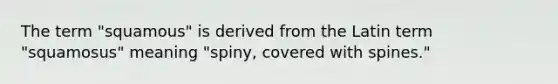 The term "squamous" is derived from the Latin term "squamosus" meaning "spiny, covered with spines."
