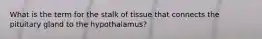 What is the term for the stalk of tissue that connects the pituitary gland to the hypothalamus?