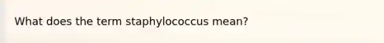 What does the term staphylococcus mean?