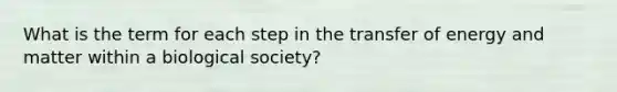 What is the term for each step in the transfer of energy and matter within a biological society?