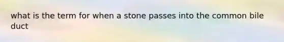 what is the term for when a stone passes into the common bile duct