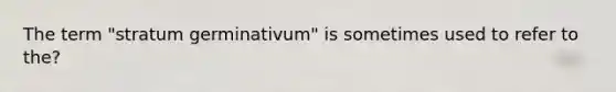 The term "stratum germinativum" is sometimes used to refer to the?