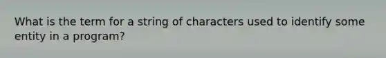 What is the term for a string of characters used to identify some entity in a program?