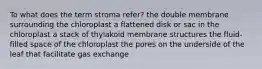 To what does the term stroma refer? the double membrane surrounding the chloroplast a flattened disk or sac in the chloroplast a stack of thylakoid membrane structures the fluid-filled space of the chloroplast the pores on the underside of the leaf that facilitate gas exchange