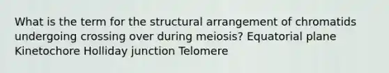 What is the term for the structural arrangement of chromatids undergoing crossing over during meiosis? Equatorial plane Kinetochore Holliday junction Telomere