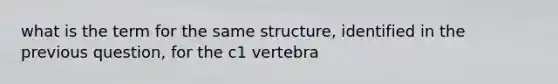 what is the term for the same structure, identified in the previous question, for the c1 vertebra