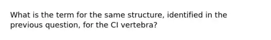 What is the term for the same structure, identified in the previous question, for the CI vertebra?