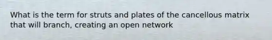 What is the term for struts and plates of the cancellous matrix that will branch, creating an open network