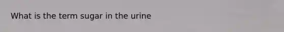 What is the term sugar in the urine