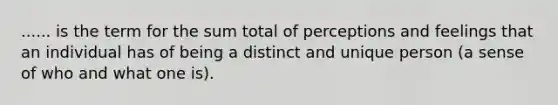 ...... is the term for the sum total of perceptions and feelings that an individual has of being a distinct and unique person (a sense of who and what one is).