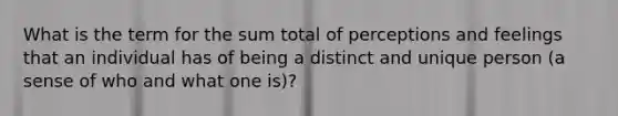 What is the term for the sum total of perceptions and feelings that an individual has of being a distinct and unique person (a sense of who and what one is)?