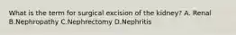 What is the term for surgical excision of the kidney? A. Renal B.Nephropathy C.Nephrectomy D.Nephritis