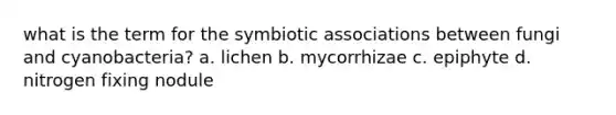 what is the term for the symbiotic associations between fungi and cyanobacteria? a. lichen b. mycorrhizae c. epiphyte d. nitrogen fixing nodule