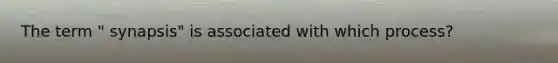 The term " synapsis" is associated with which process?