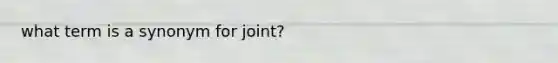 what term is a synonym for joint?