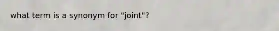 what term is a synonym for "joint"?