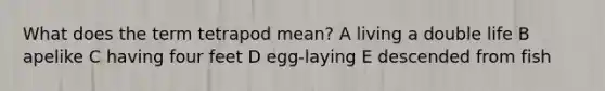 What does the term tetrapod mean? A living a double life B apelike C having four feet D egg-laying E descended from fish