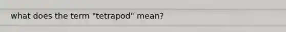 what does the term "tetrapod" mean?