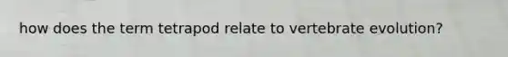 how does the term tetrapod relate to vertebrate evolution?
