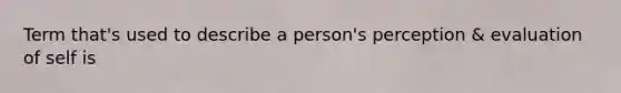 Term that's used to describe a person's perception & evaluation of self is