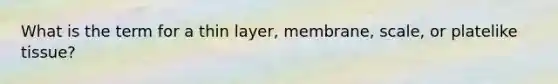 What is the term for a thin layer, membrane, scale, or platelike tissue?